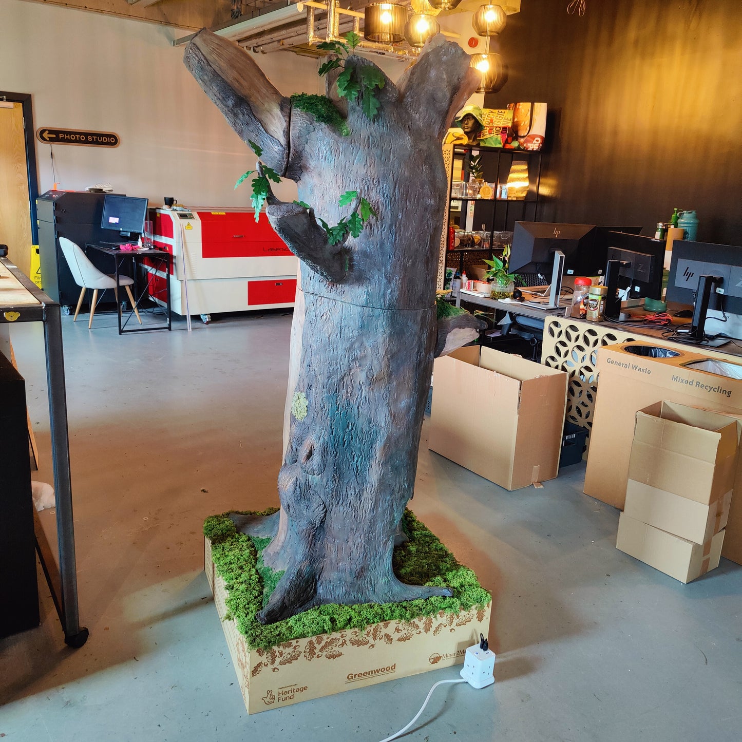 Oak Tree Projects Crafting Connections: Nottinghamshire's Ancient Oak Tree Project ...